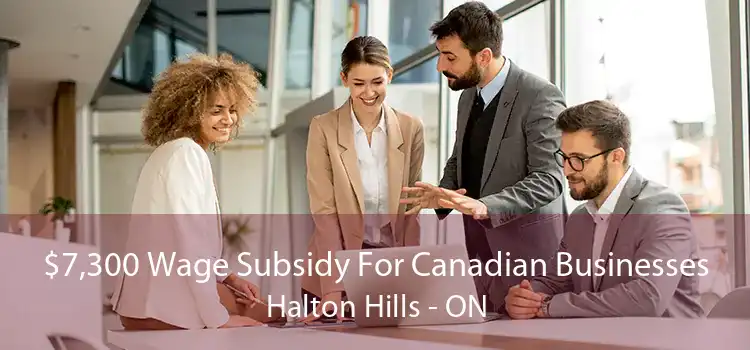$7,300 Wage Subsidy For Canadian Businesses Halton Hills - ON