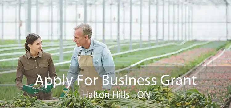 Apply For Business Grant Halton Hills - ON